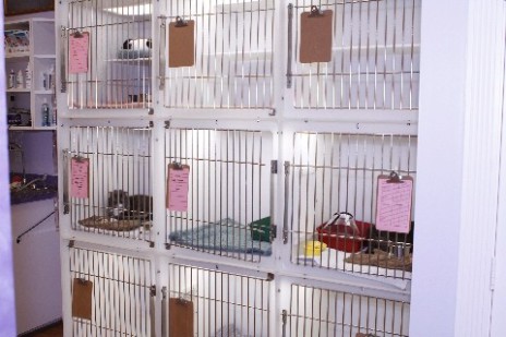 Hospital Condo Cages